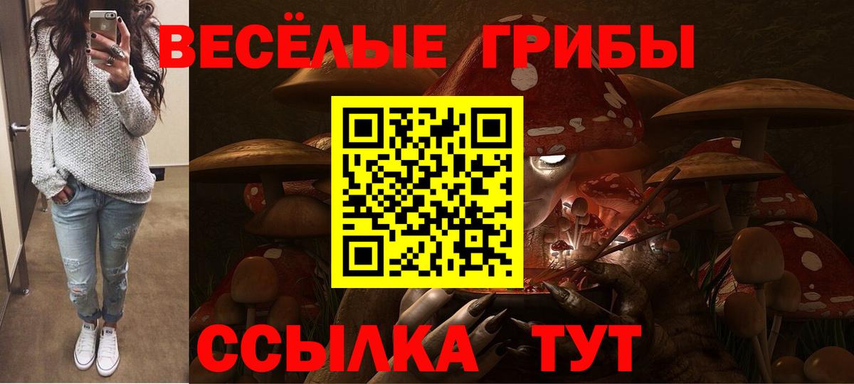 Галлюциногенные грибы Psilocybe  Вход с VPN  Галлюциногенные грибы мухоморы  закладки  Вольск 